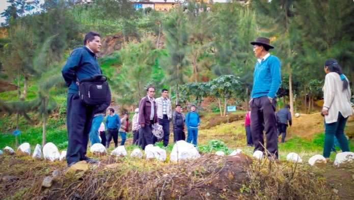 Agroideas capacitó a productores de papa sobre asociatividad