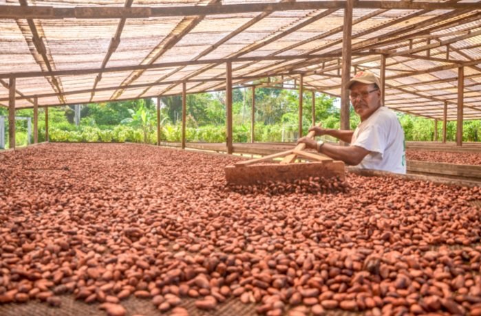 Plan de exportación de Huánuco está en 32% de implementación