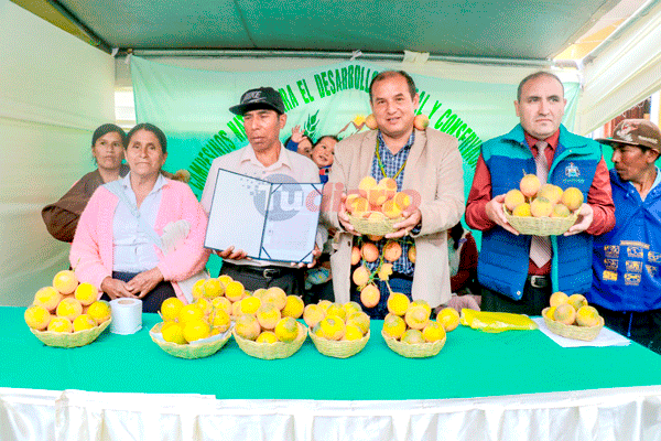 Impulsan producción de granadilla, durazno y cuy