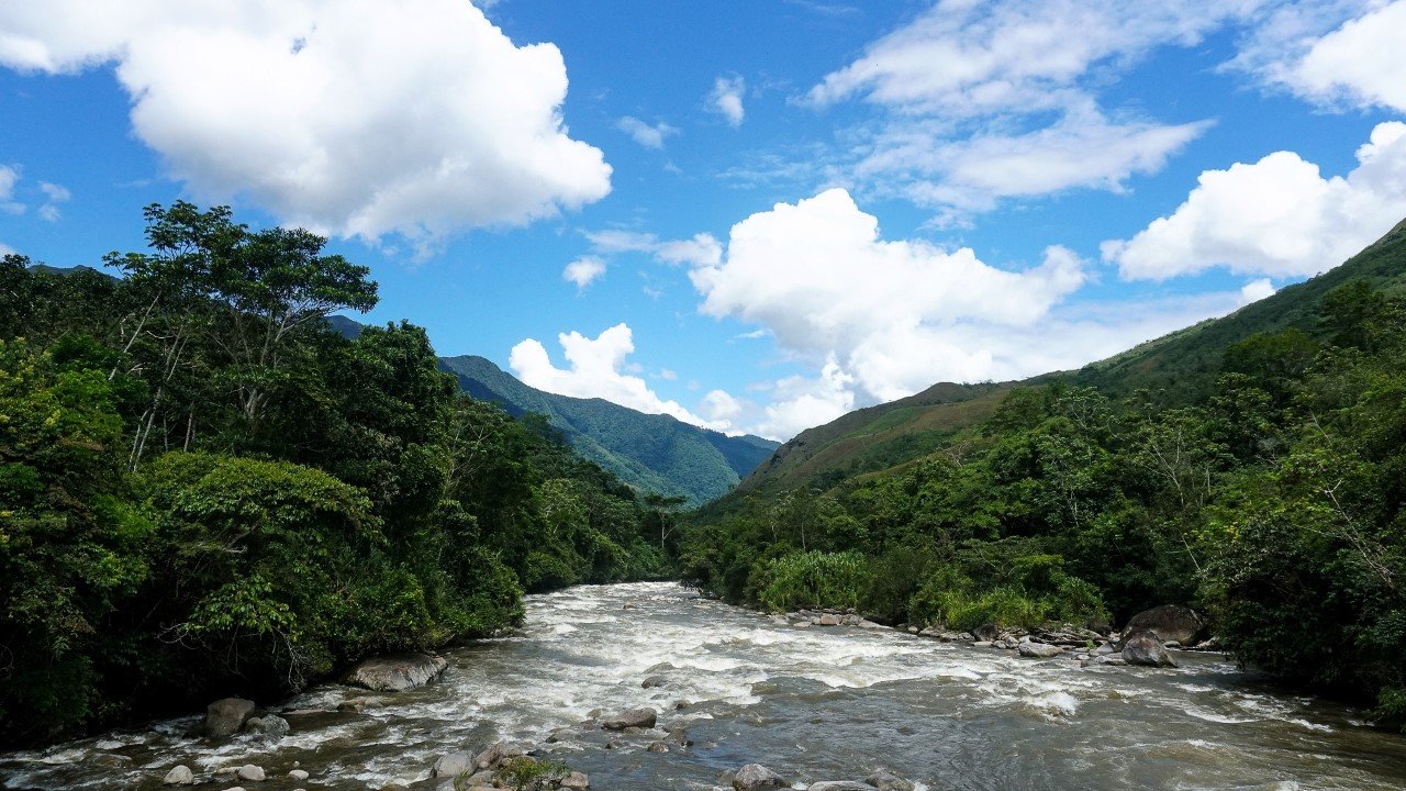 Bosque Montano de Carpish es declarado área de conservación regional