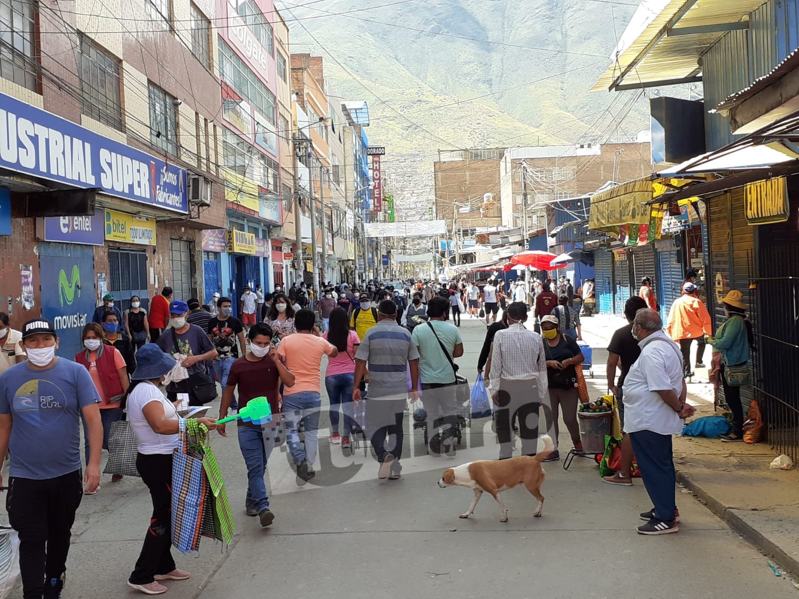 Administrador del mercado Modelo de Huánuco pide ordenar comercio ambulatorio