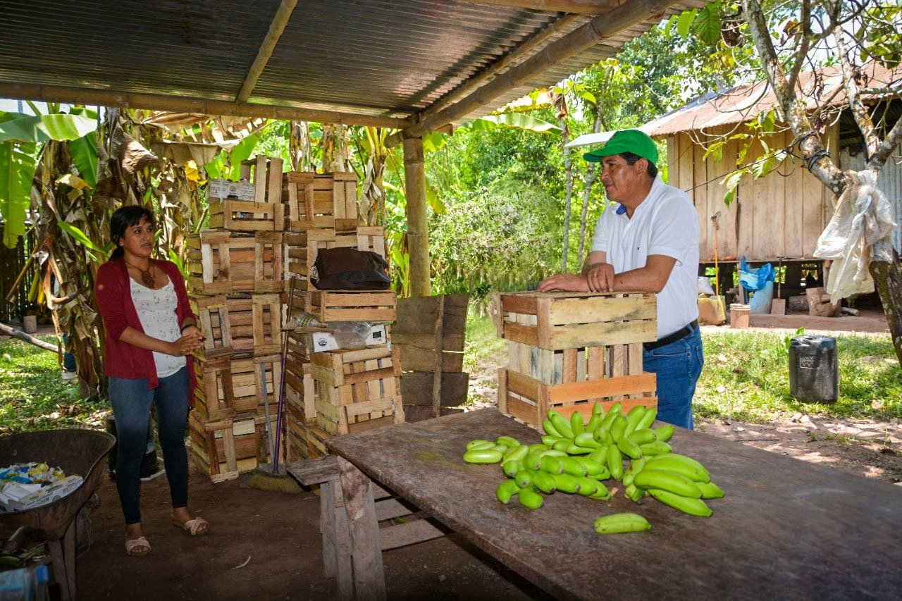 50 mil 425 huanuqueños se beneficiarán del Bono Rural