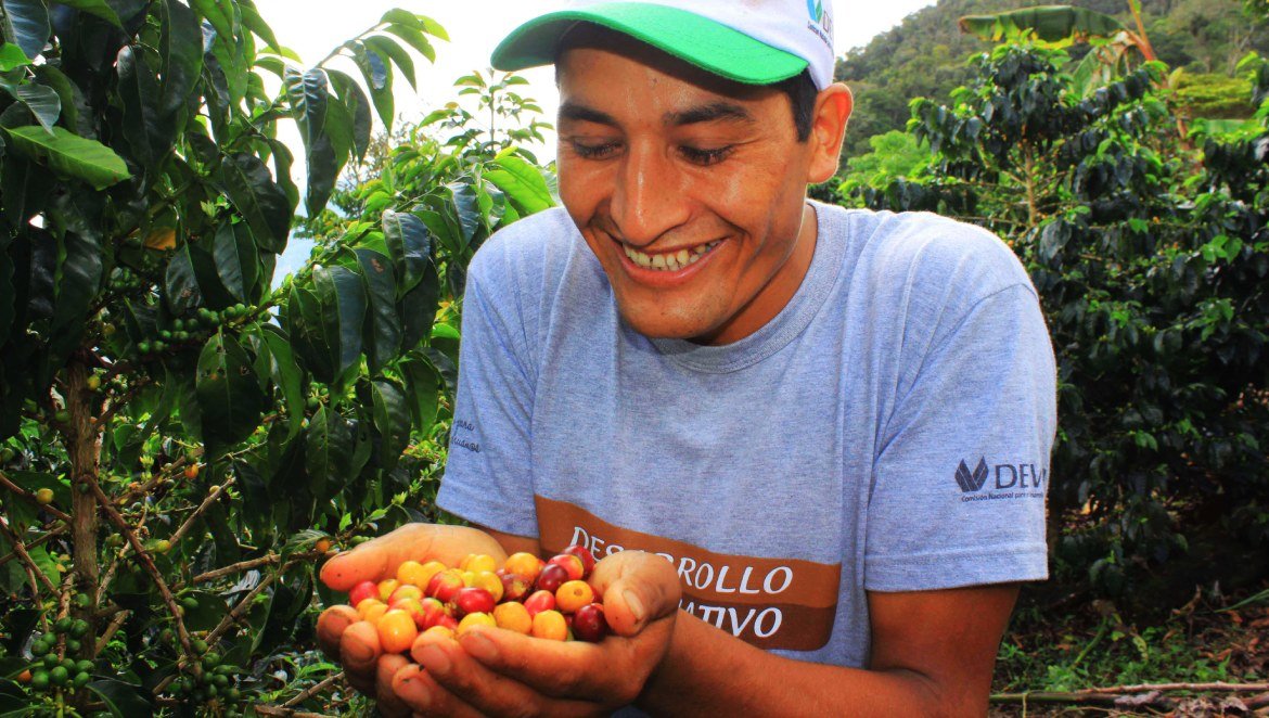 En marcha concurso de cafés especiales del valle del Monzón