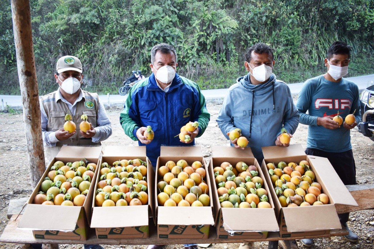 Productores de granadillas de Chinchao logran 380 mil soles de crédito de AgroPerú