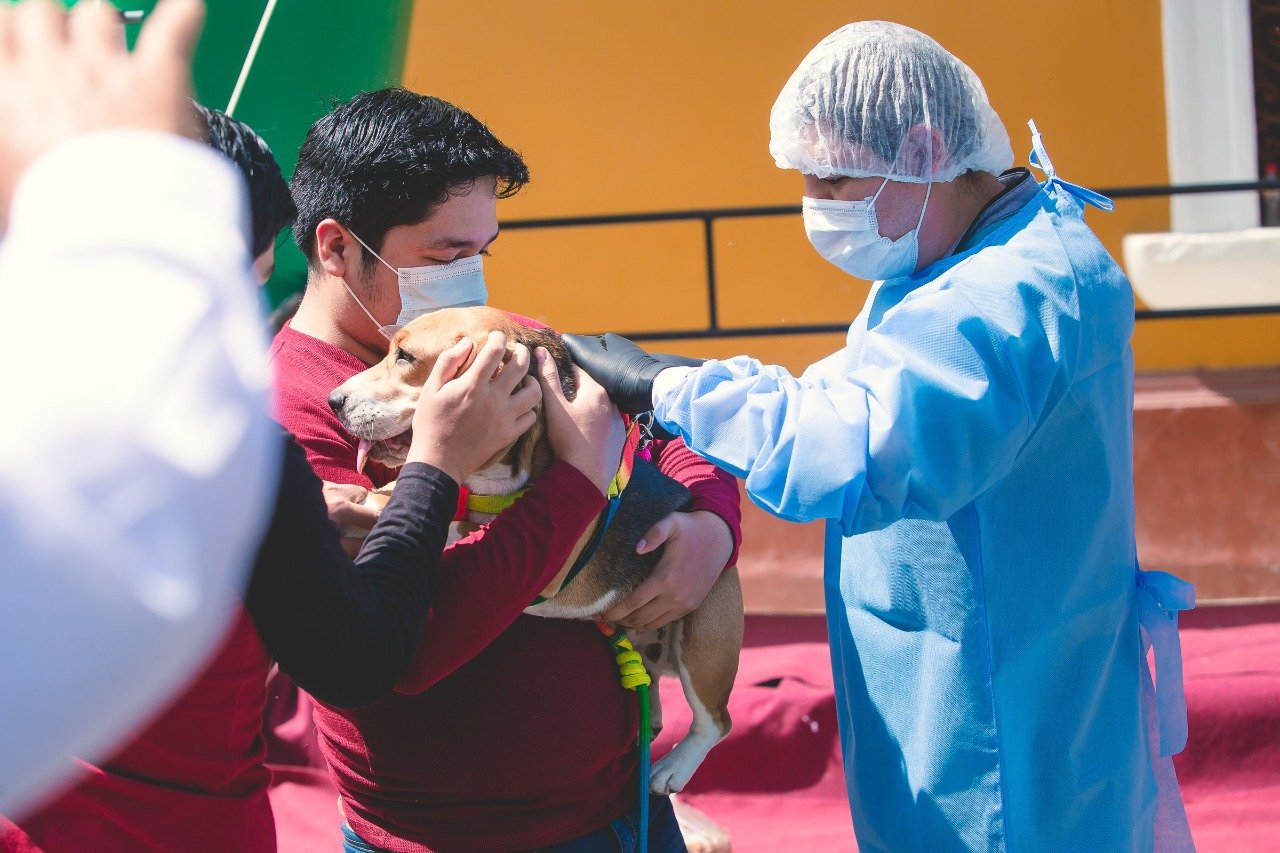 Municipalidad de Huánuco abrirá consultorio veterinario para atención gratuita