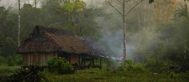 Indígenas cacataibo viven acorralados por invasores de tierras y narcotraficantes