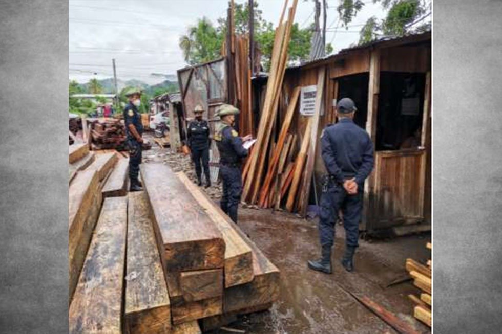 Recuperan 6,165 tablares de madera en la Reserva Comunal El Sira