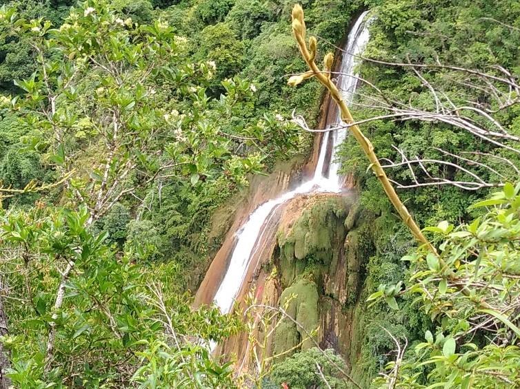 Protegerán área de la zona ecológica Osomayo – Milpo