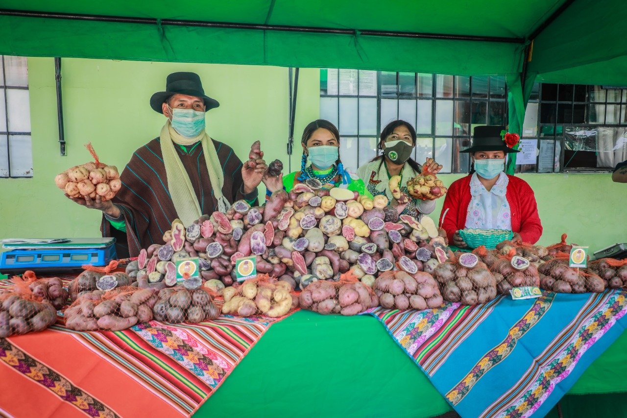 Huánuco celebra el Día Nacional de la Papa con 360 variedades de papa nativa