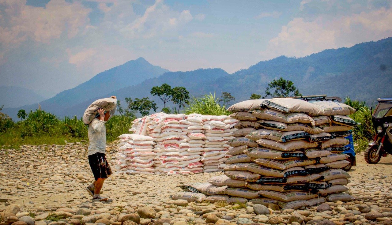 Entregan 805 toneladas de fertilizantes a productores de café y cacao en cinco provincias de Huánuco
