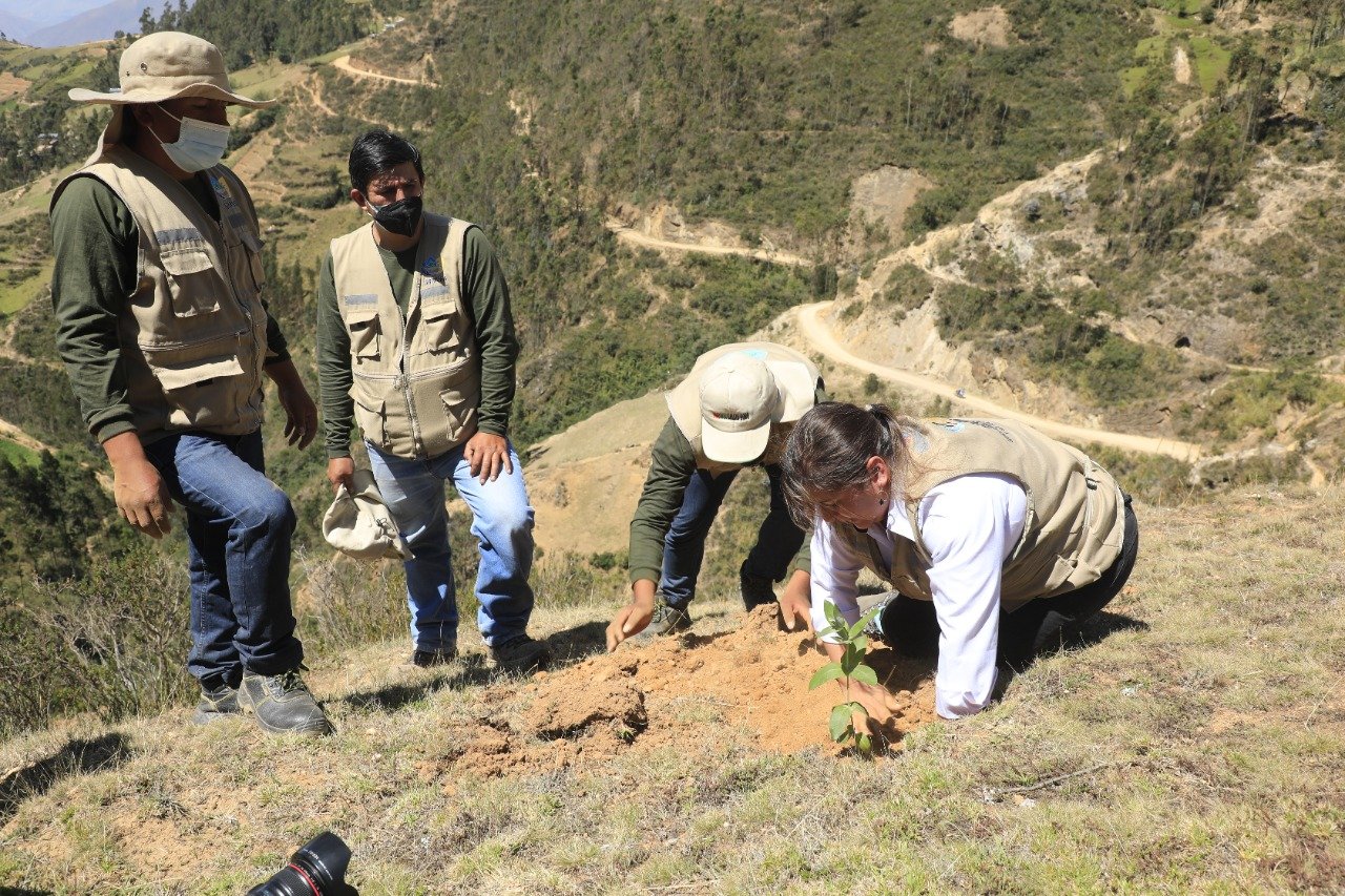 Reforestan zonas de la microcuenca del río Huertas en provincia de Ambo