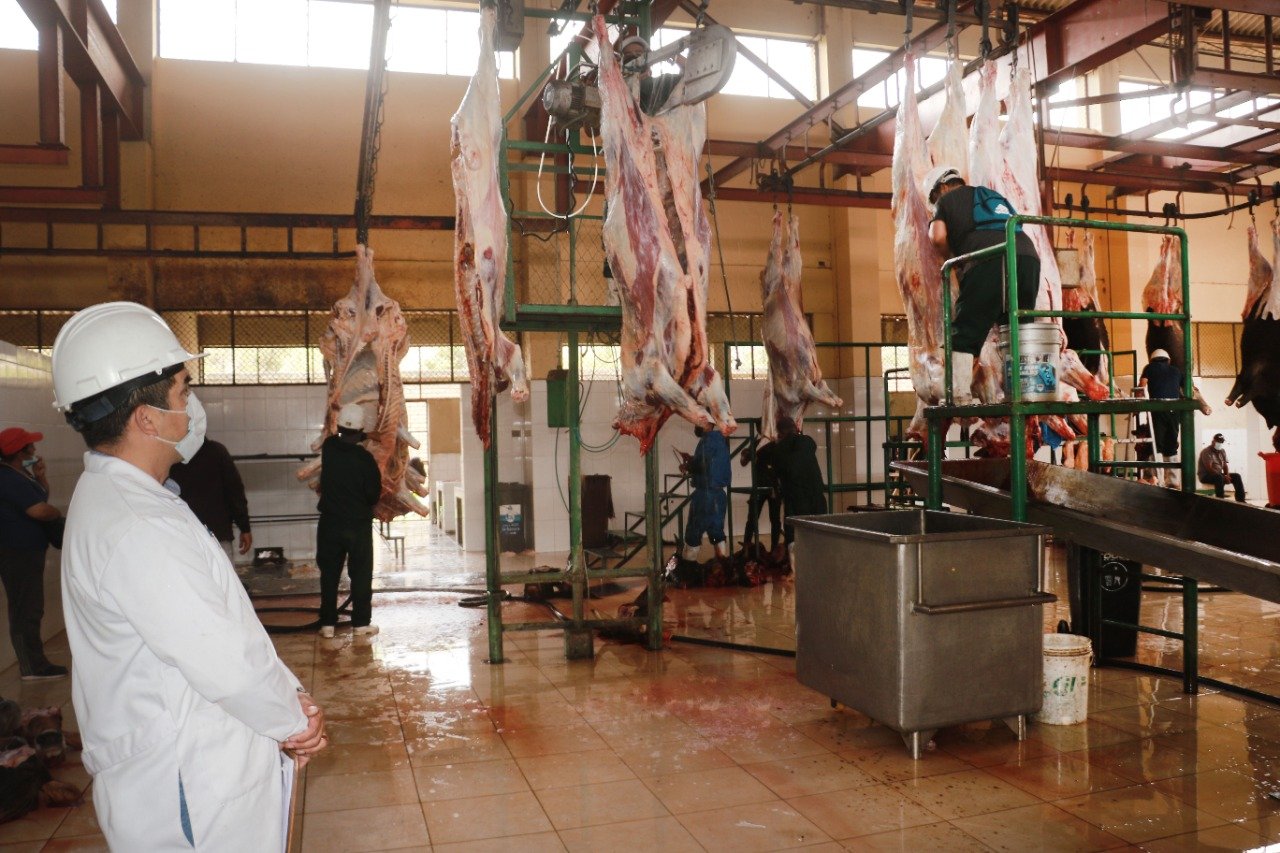 Luego de diez días, Camal Municipal de Huánuco reinicia la matanza de ganados