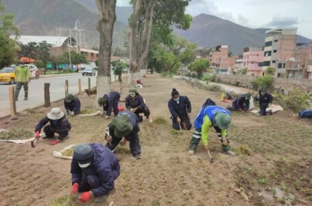 Municipalidad de Huánuco recupera áreas verdes en faja marginal del río Higueras
