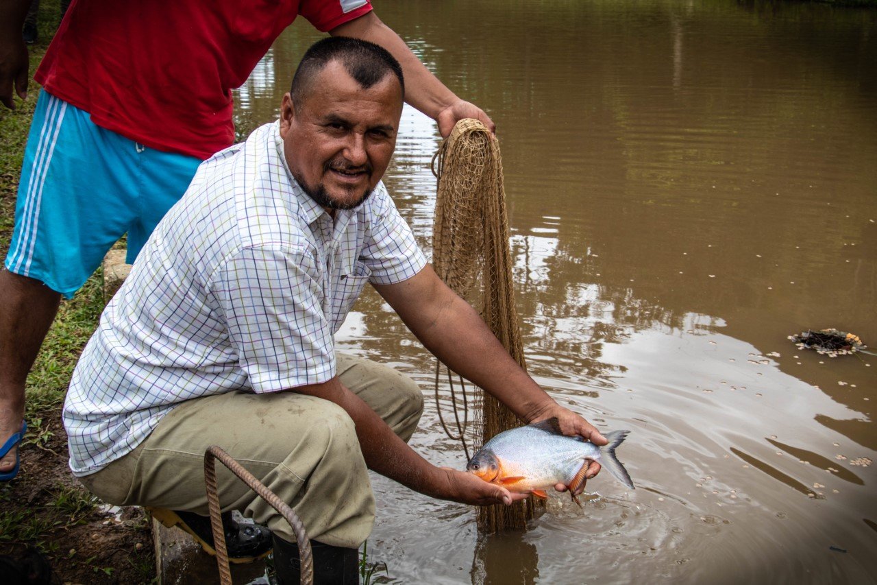 Fortalecen producción de peces amazónicos en Tingo María y Monzón