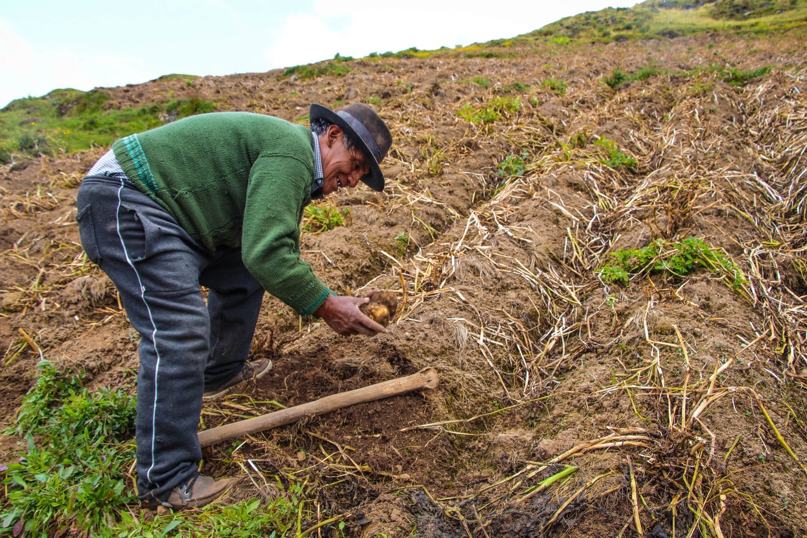 Gobierno empezó a pagar a pequeños agricultores el Bono Wanuchay de S/ 350