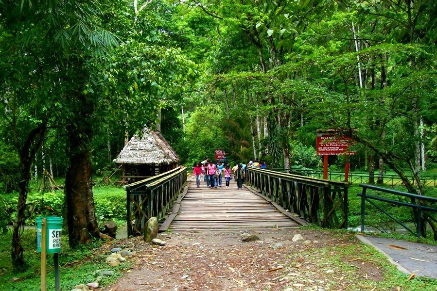 Parque Nacional Tingo María es nominado al “Green Destinations”