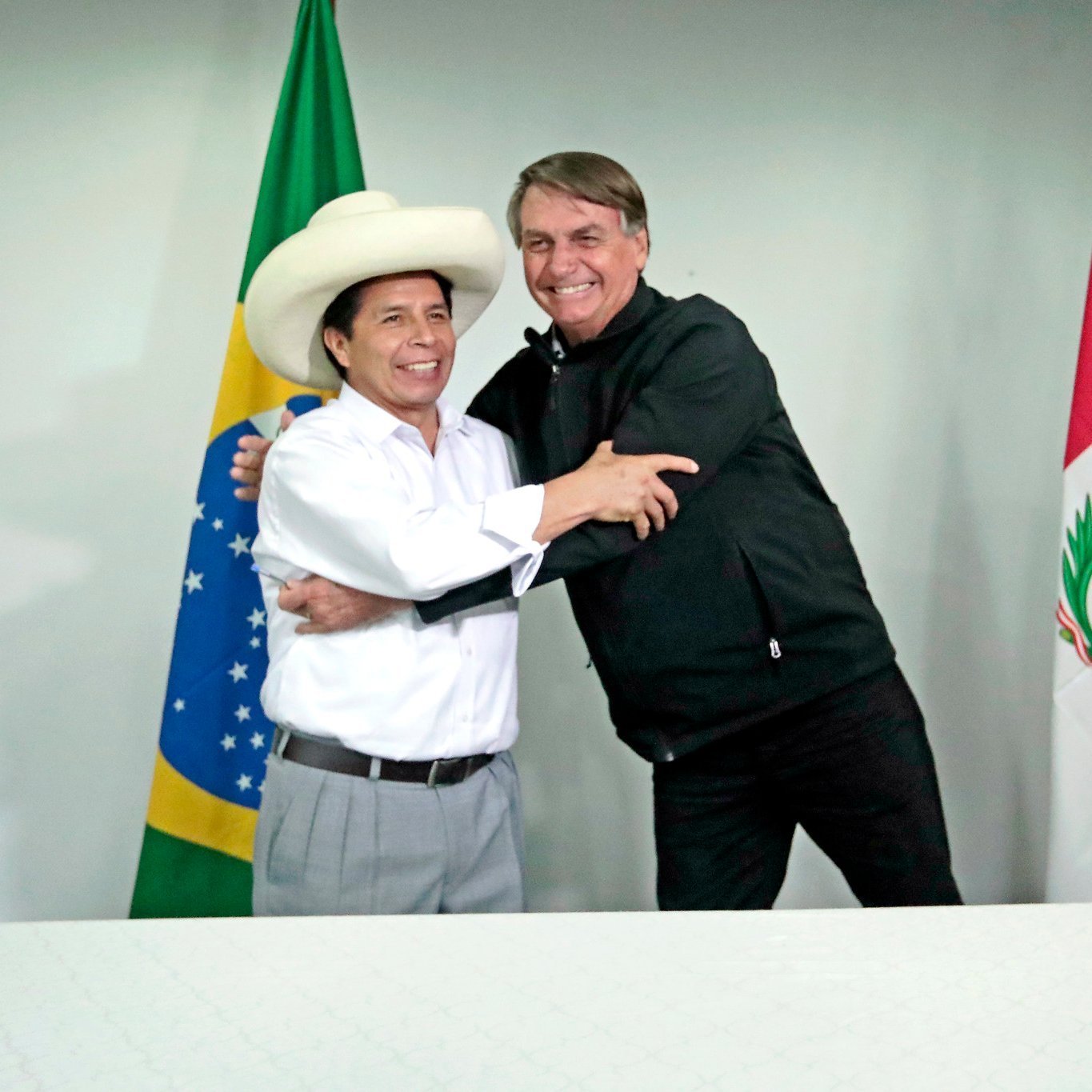 Presidentes Castillo y Bolsonaro suscribieron acuerdos sobre salud