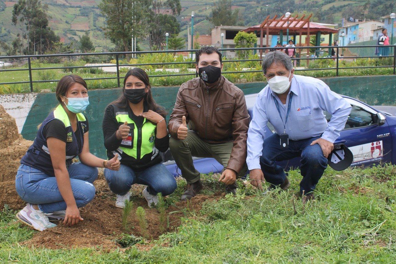 Programa de reforestación “Adopta un árbol” llega a zonas de tres distritos