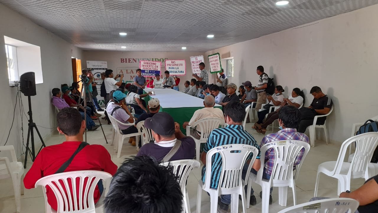 Alcalde y demás autoridades de Monzón piden a Pedro Castillo suspender erradicación de la hoja de coca