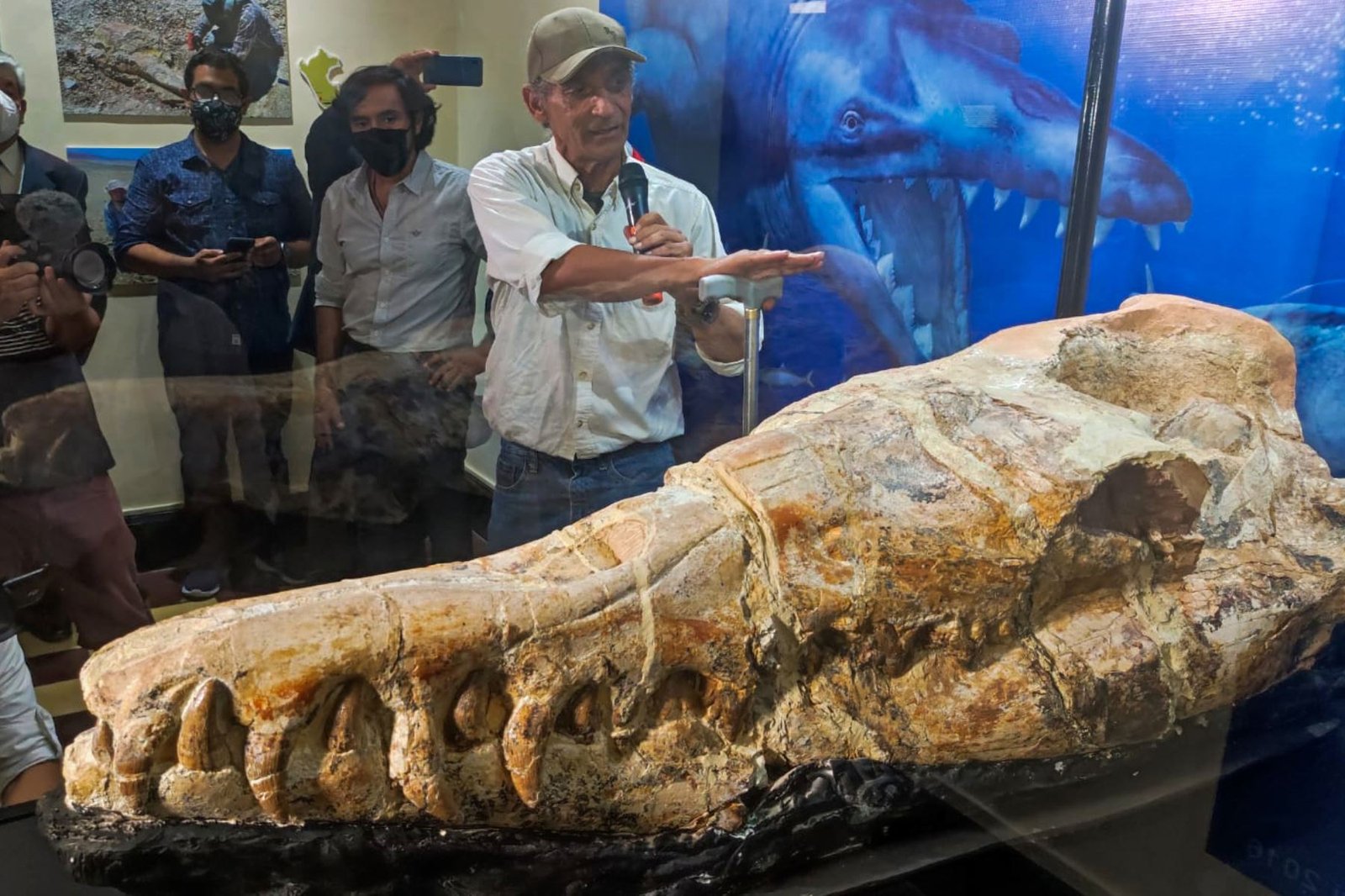Descubren fósil de cetáceo que habitó el mar peruano hace 36 millones de años