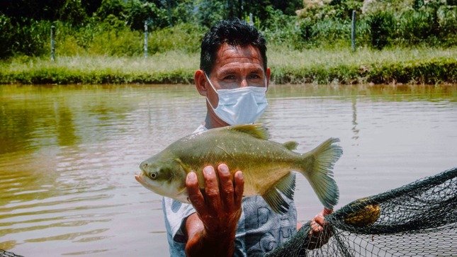 Invertirán 400 mil soles en producción de peces amazónicos en zonas de Monzón