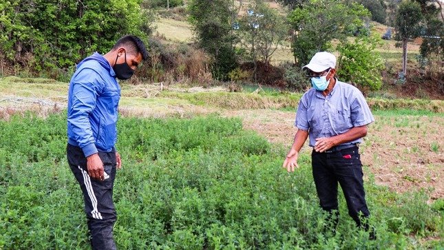 Don Pedro, un ejemplo de perseverancia y colaboración