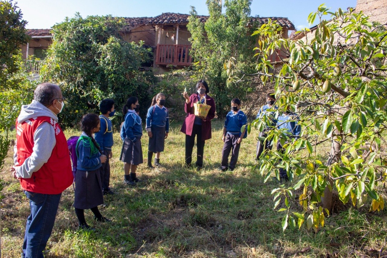 Huerto escolar provee frutas y verduras para alimentación de niños en poblado de Chichipón