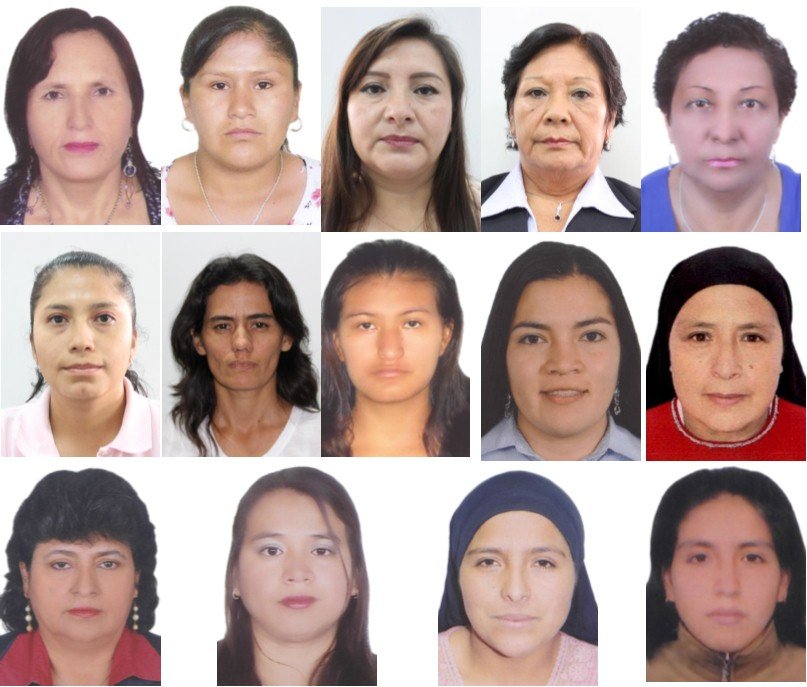 De 110 postulantes a las alcaldías provinciales de Huánuco solo 14 son mujeres