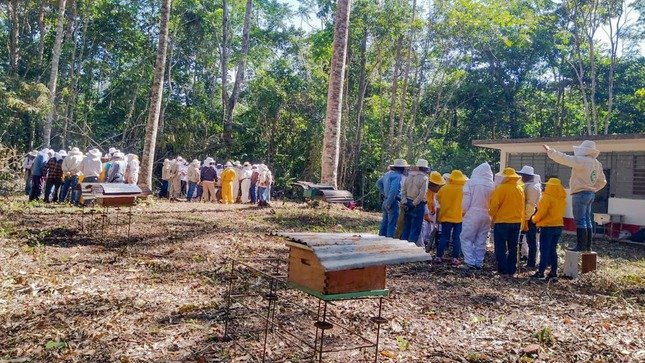 Refuerzan actividad apícola en 400 familias de 87 comunidades de cuatro provincias de Huánuco