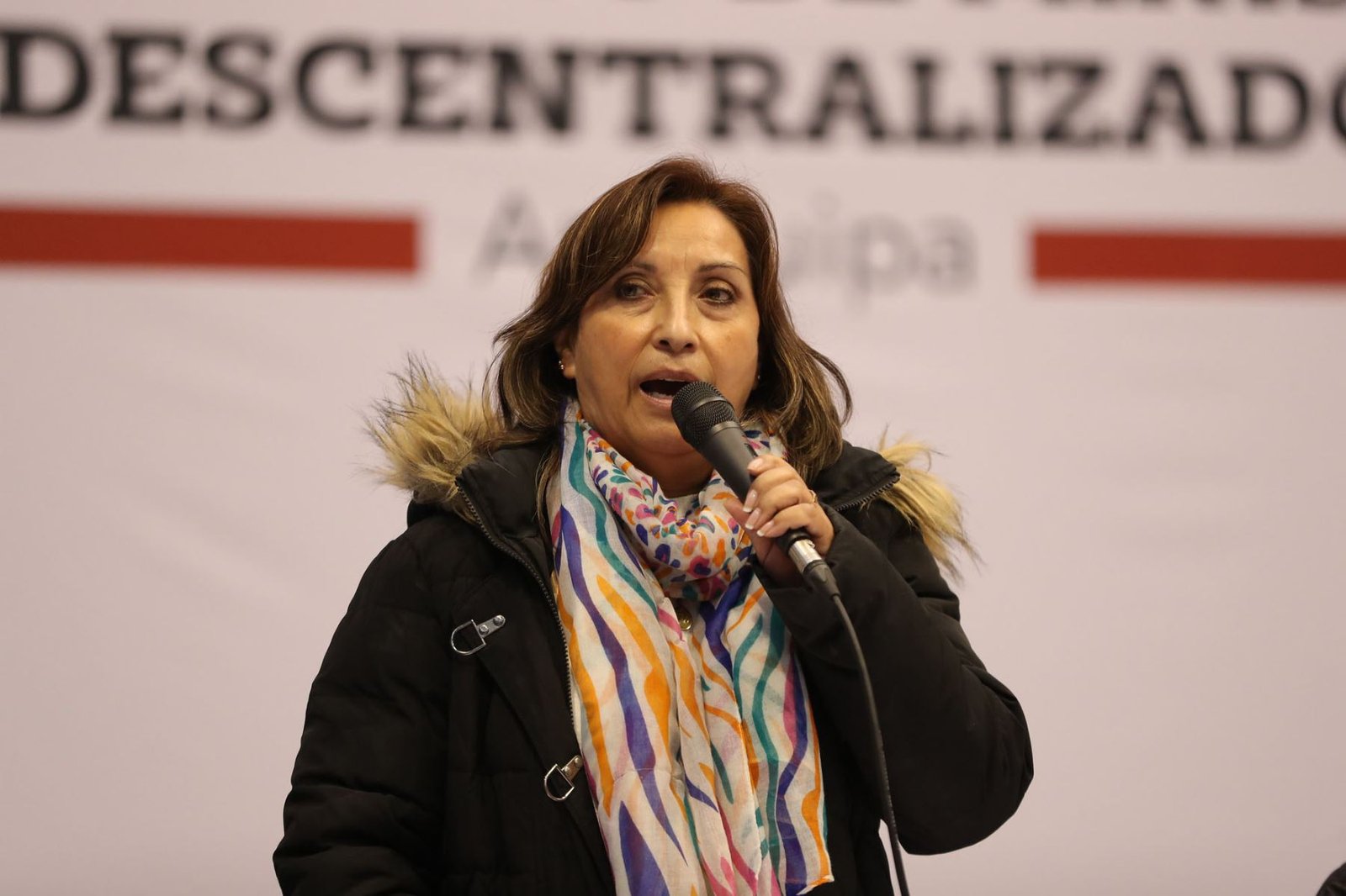 Dina Boluarte pide al Congreso apostar por la gobernabilidad