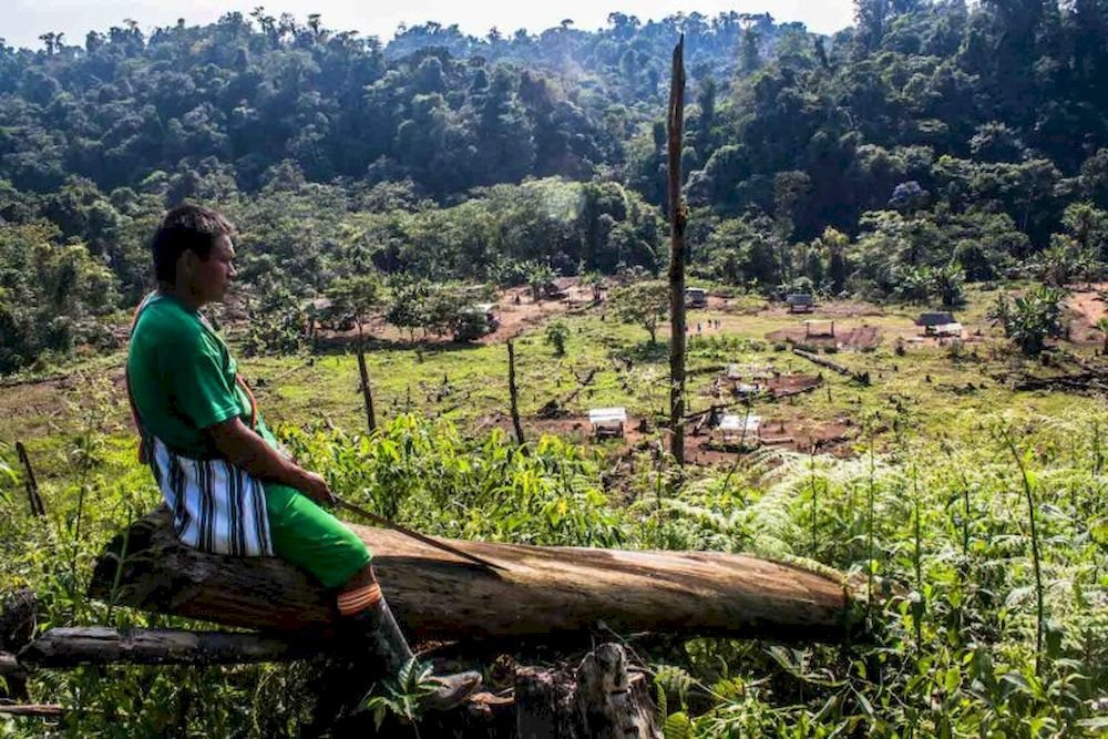 Fiscalía atiende 6 casos de asesinatos contra defensores ambientales