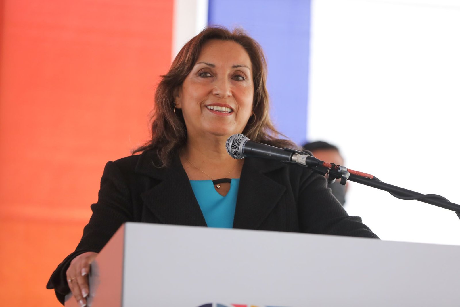 <strong>Dina Boluarte pide al Congreso reflexión y apostar por t el país</strong>