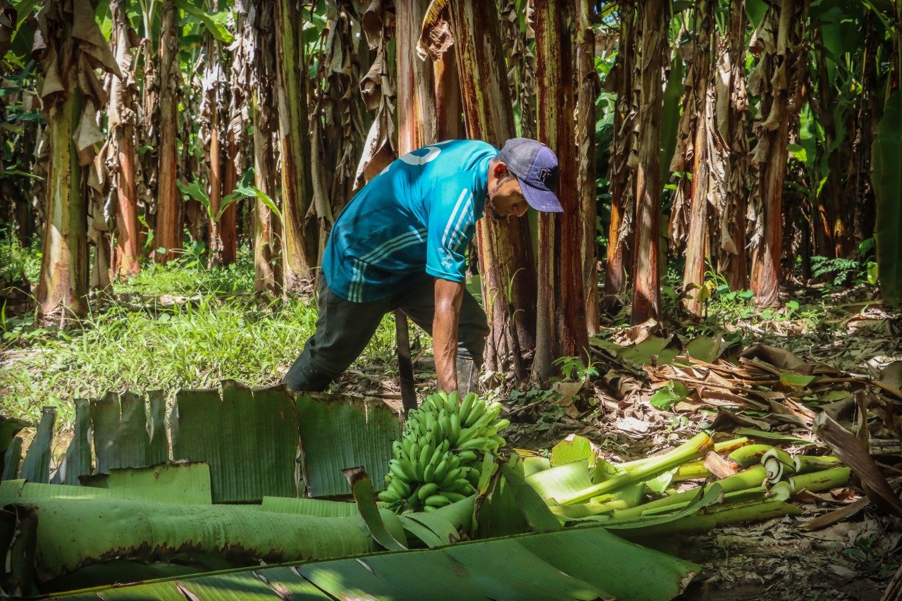 <strong>Más de un millón de agricultores logran registrarse en el PPA</strong>