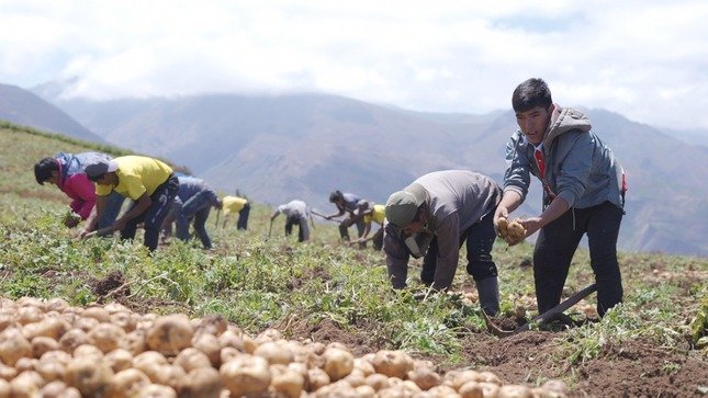 Midagri firmará convenios con 21 organizaciones agrarias en Huánuco