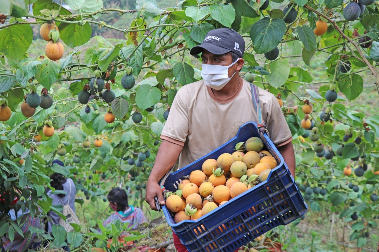 Perú logró diez nuevos accesos para productos agrícolas