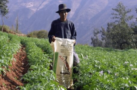 <strong>El 45% de beneficiarios de Fertiabono es agricultor con hasta una hectárea</strong>