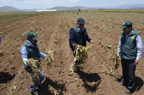 <strong>Sequías y heladas podrían causar escasez de alimentos</strong>