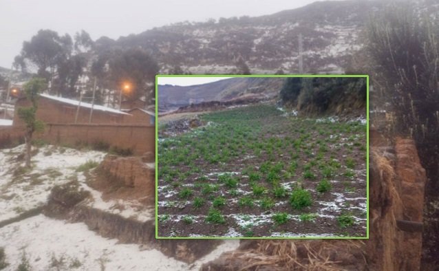 169 hectáreas de cultivos de papa fueron afectadas con inusual granizada