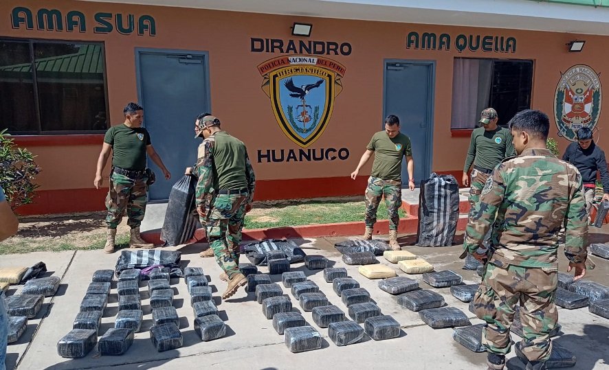 Encuentran escondidos en caleta 304 kilos de marihuana en un poblado de Chaglla