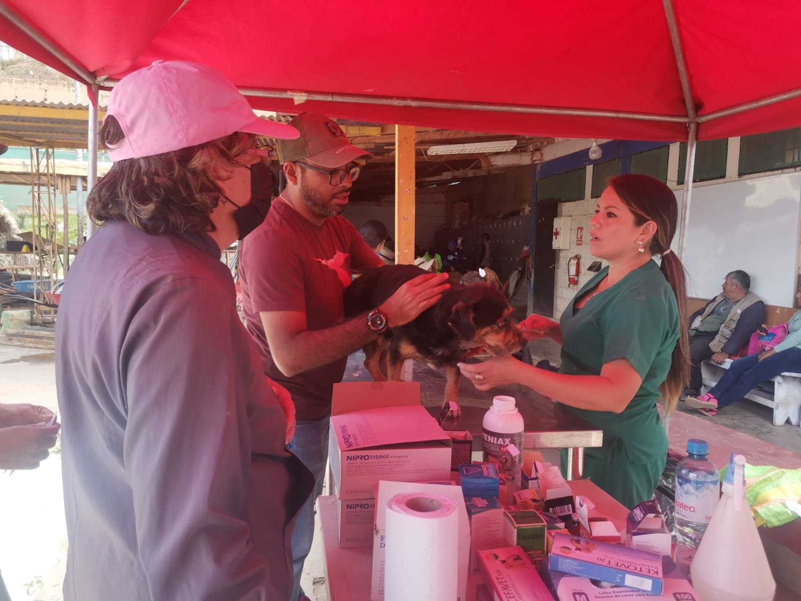 Jueves de “Más Patitas”; mascotas cuentan con consultorio veterinario en Huánuco