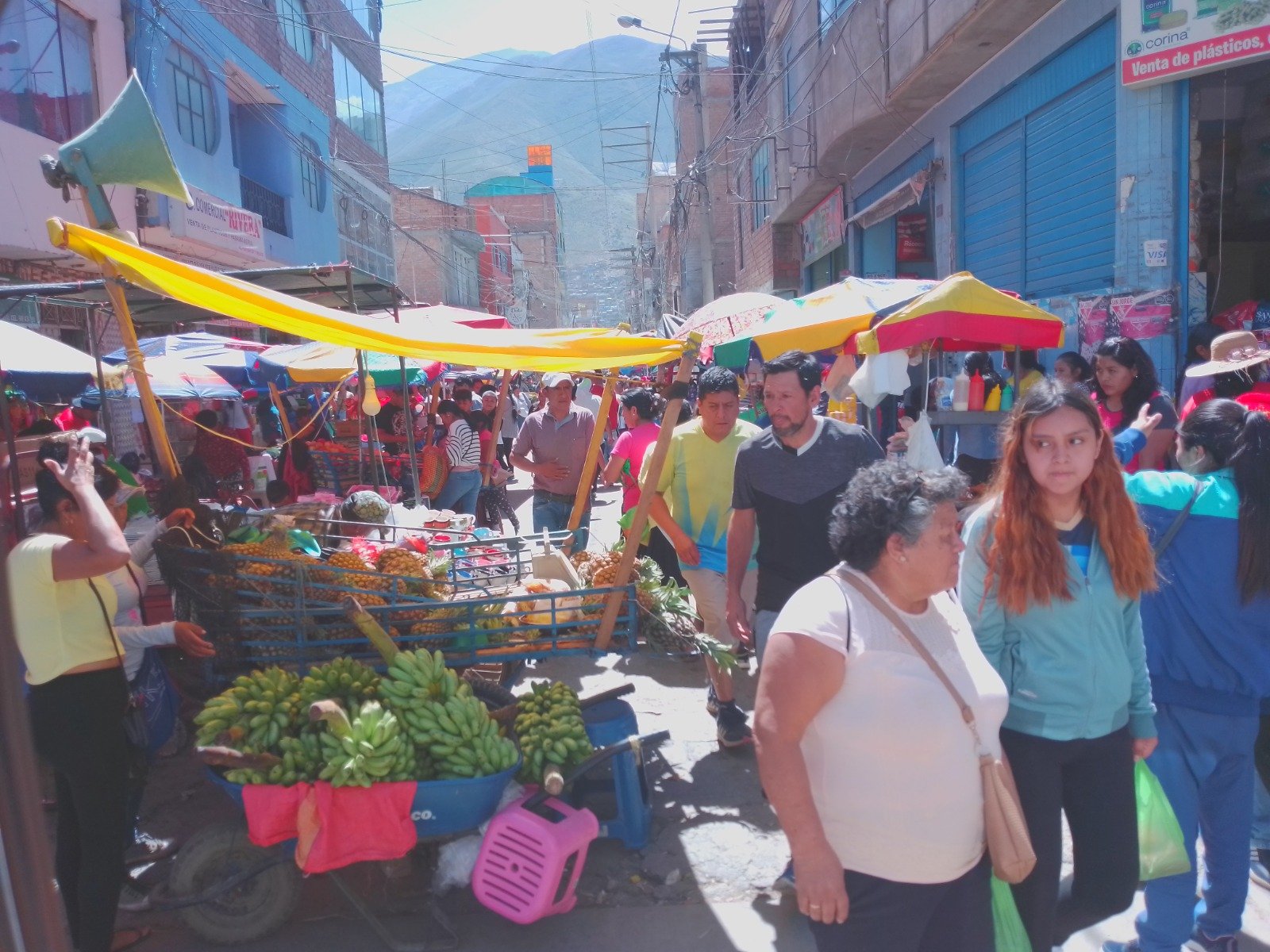 <strong>Huánuco apenas representa el 1.1% del PBI Nacional</strong>