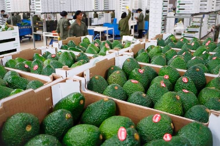 TLC con Hong Kong impulsará en Perú las exportaciones de frutas y hortalizas