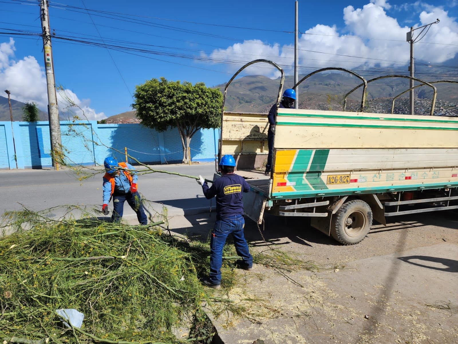 Municipalidad de Amarilis multa con S/ 990 a REPSA por tala de árboles