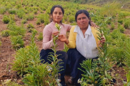 Historias de perseverancia: Zenaida y su sueño de ayudar al agro reduciendo el impacto de la sequía