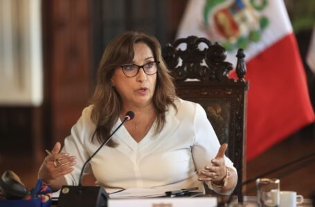 Dina Boluarte pretende ejercer la Presidencia “de forma remota” cuando viaje al exterior