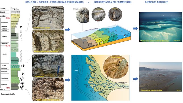 Ingemmet reconstruye en Huánuco, ambientes marinos de hace 145 millones de años
