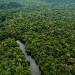 Proyecto ProBosques y Humedales impulsa conservación y desarrollo sostenible en la Amazonía