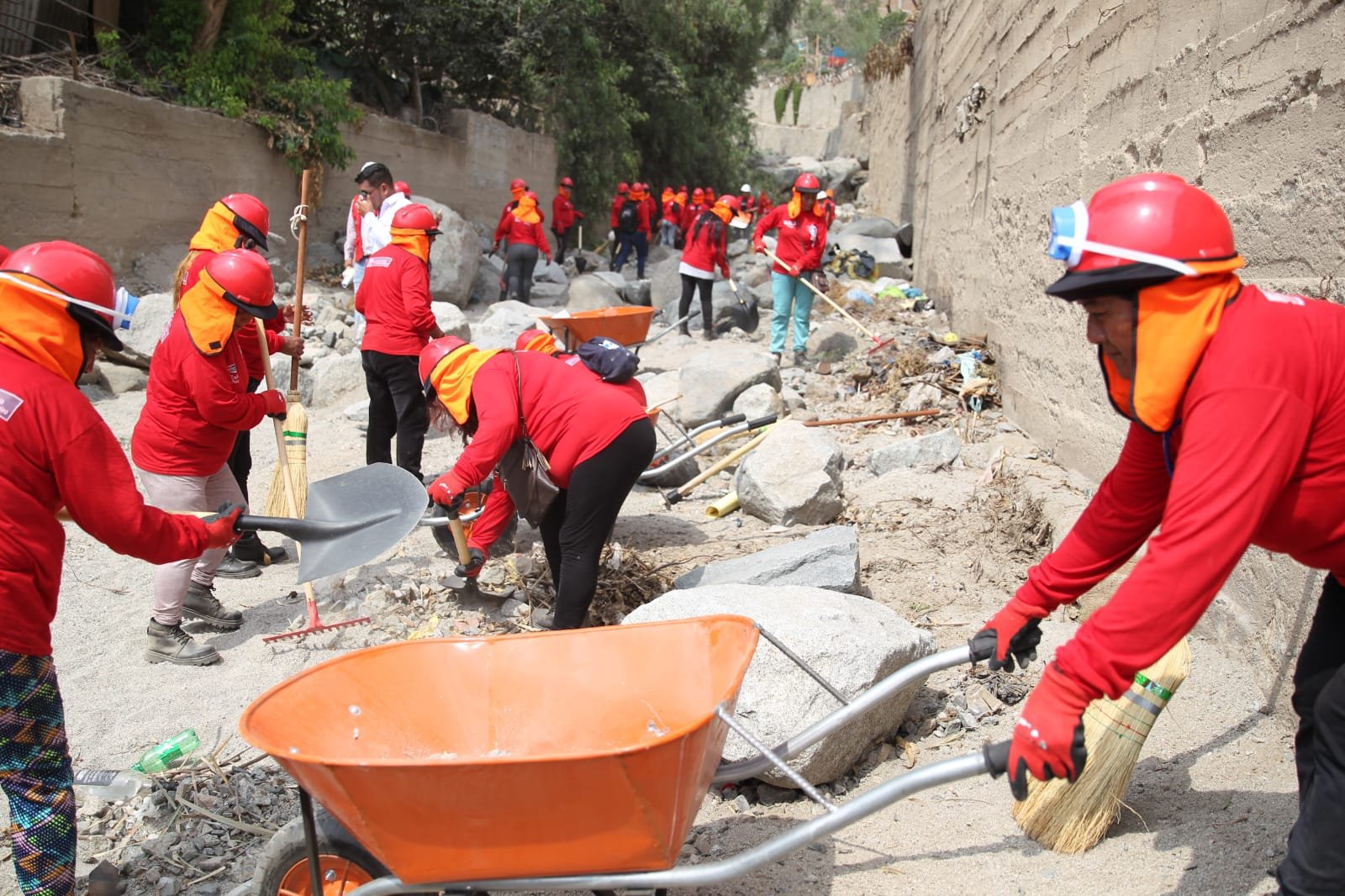 Lurawi Perú generó 11 505 empleos en Huánuco, Pasco y Ucayali