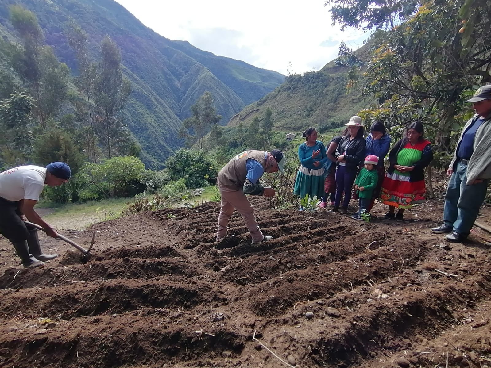 Promueven biohuertos familiares en poblados de Cholón y Huacrachuco