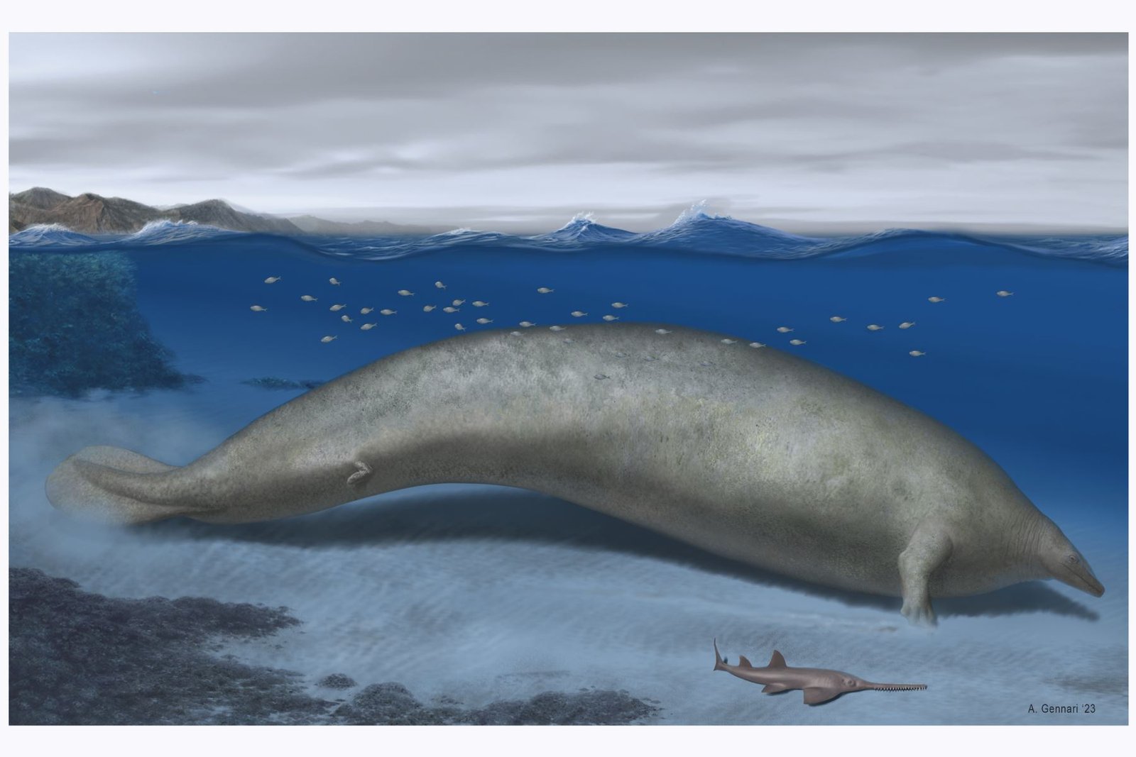 Fósil del animal más pesado de la Tierra fue descubierto en el Perú